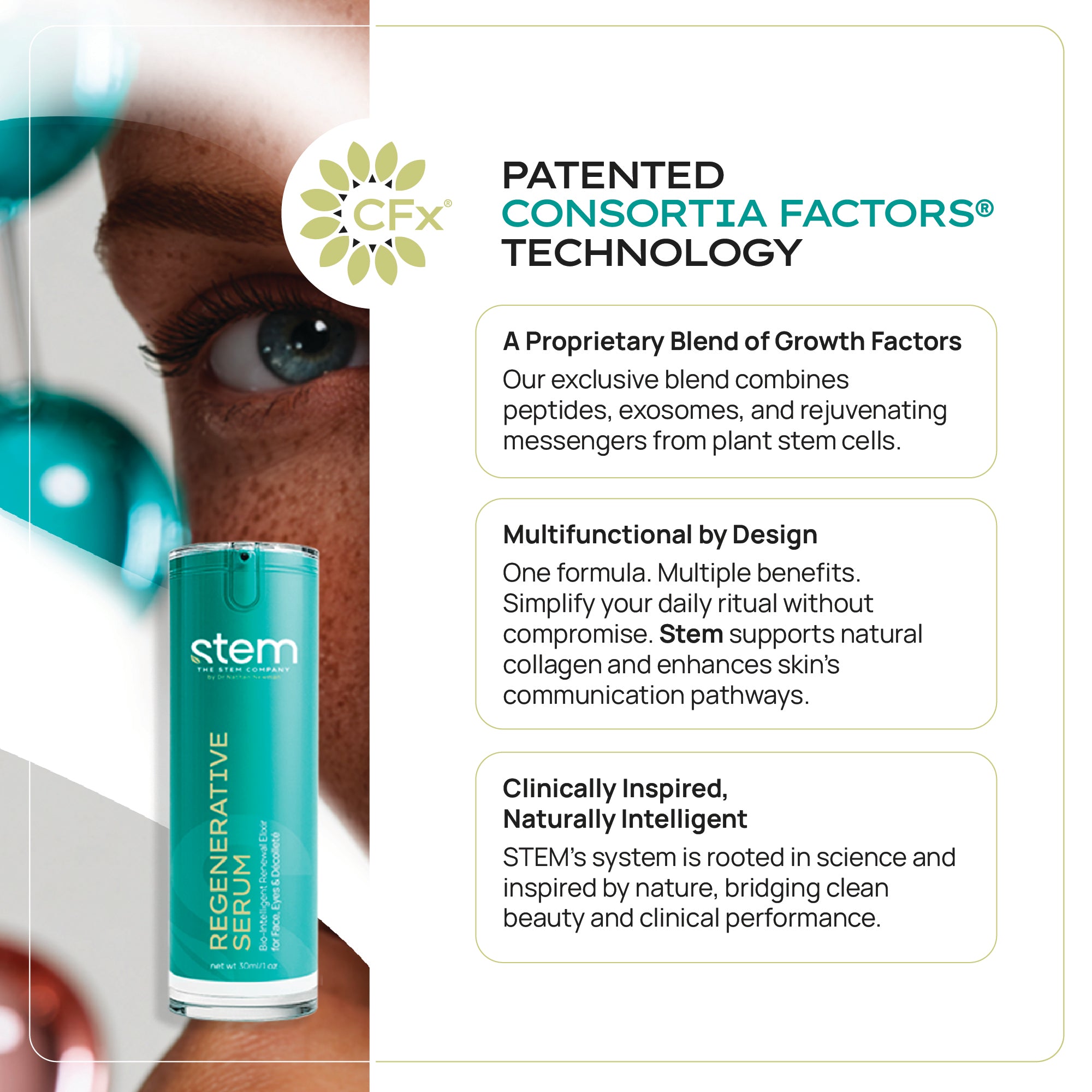 ReGenerative Serum Trio – The Stem Company