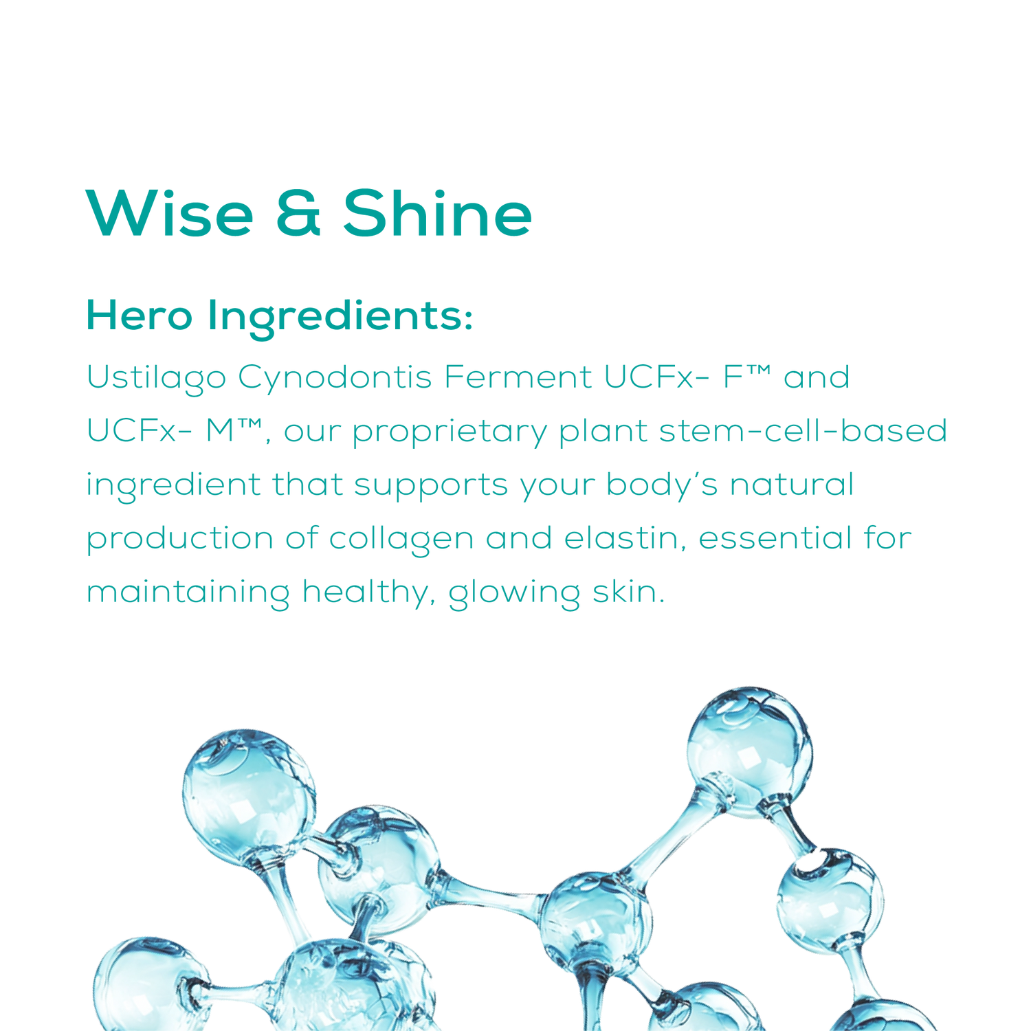 day cream hero ingredients