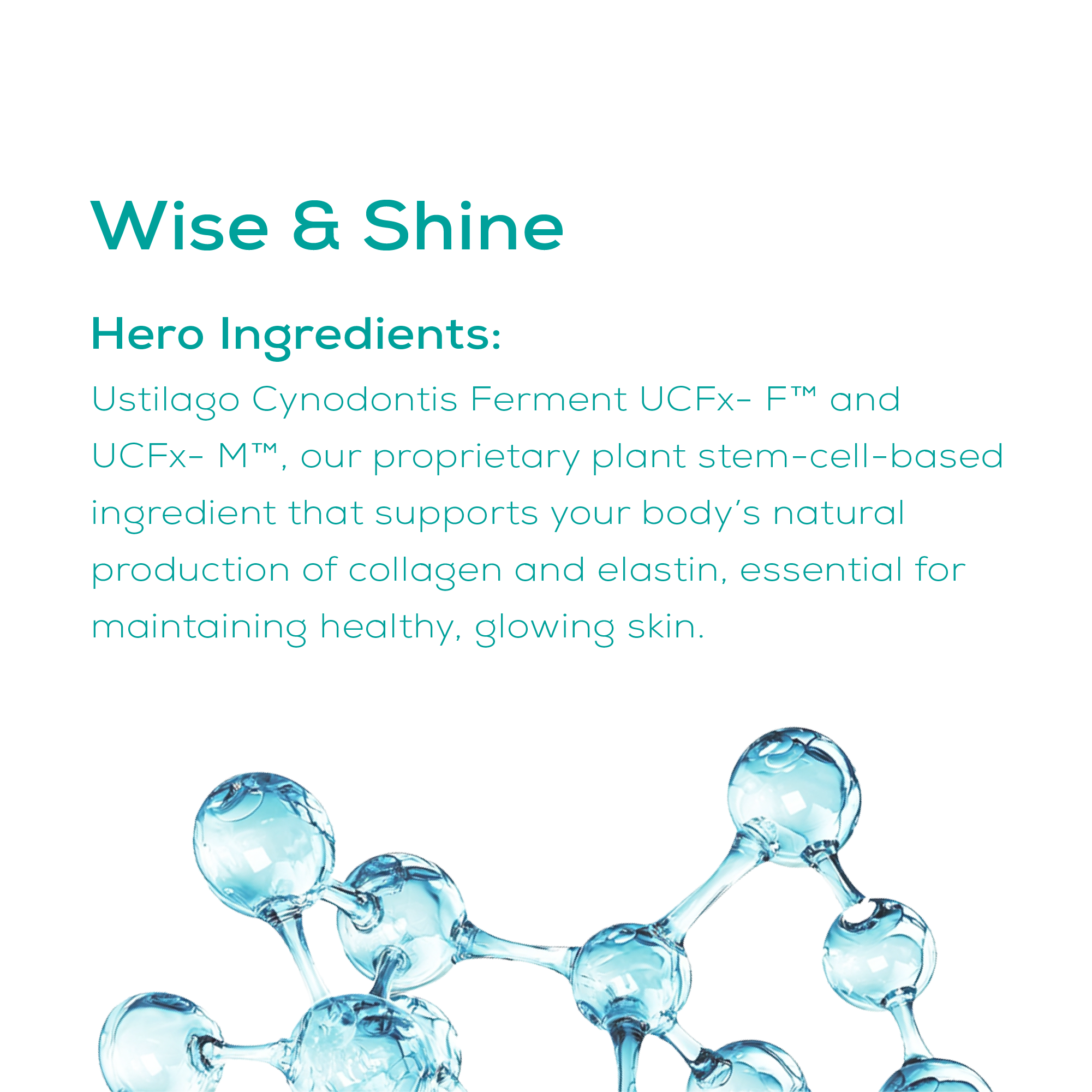 day cream hero ingredients