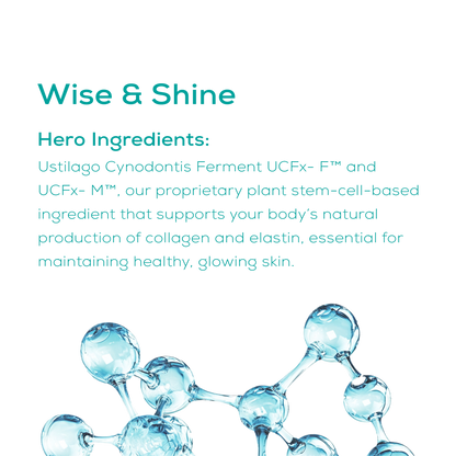 day cream hero ingredients