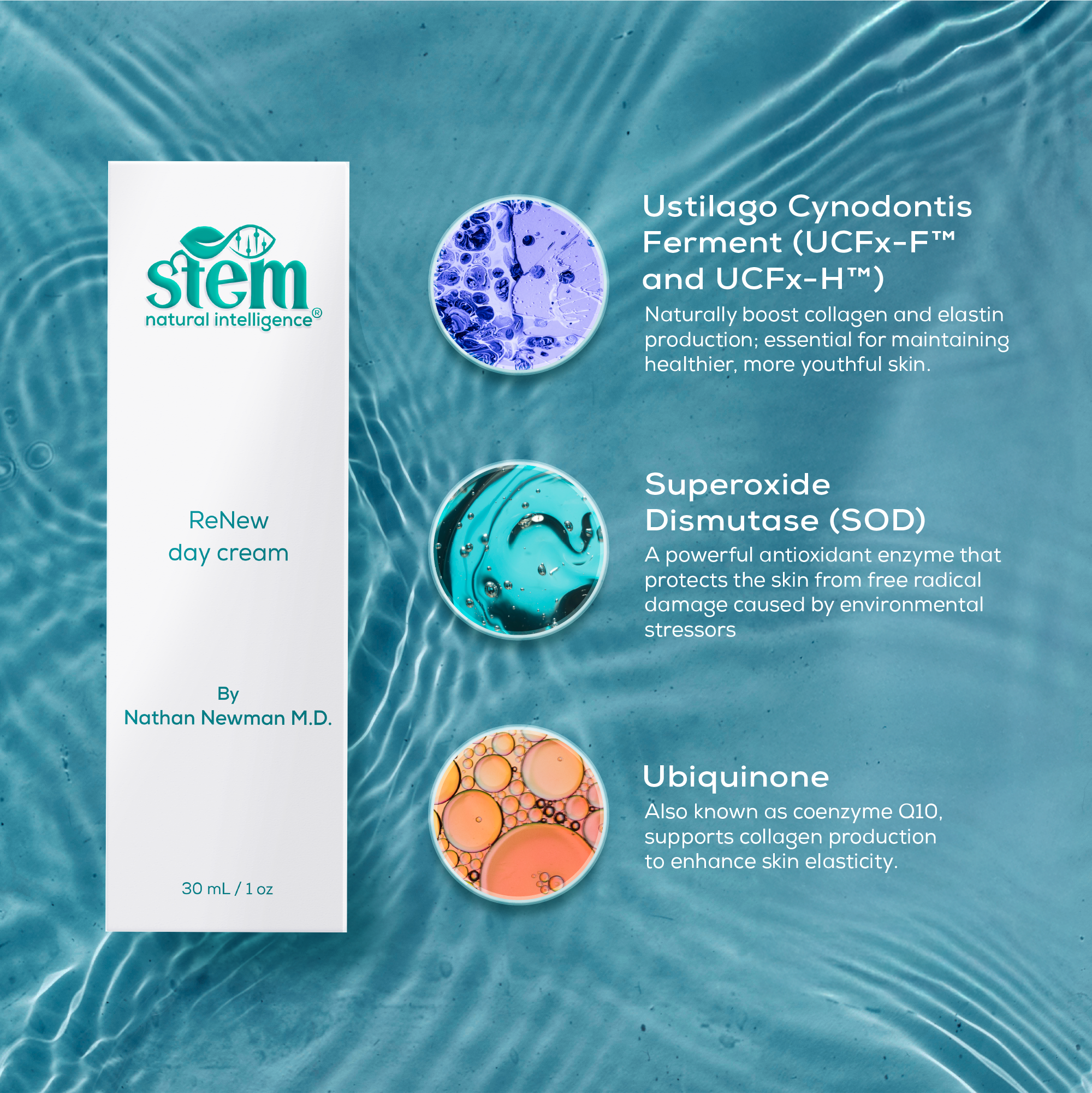 day cream ingredient feature