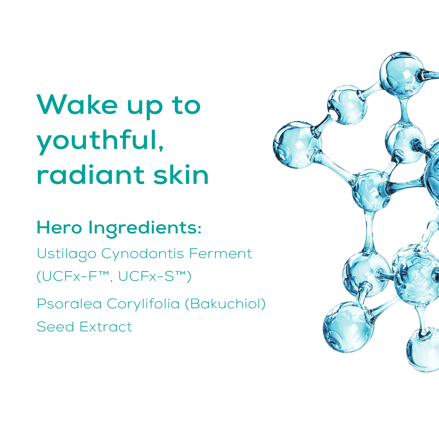 night cream hero ingredients
