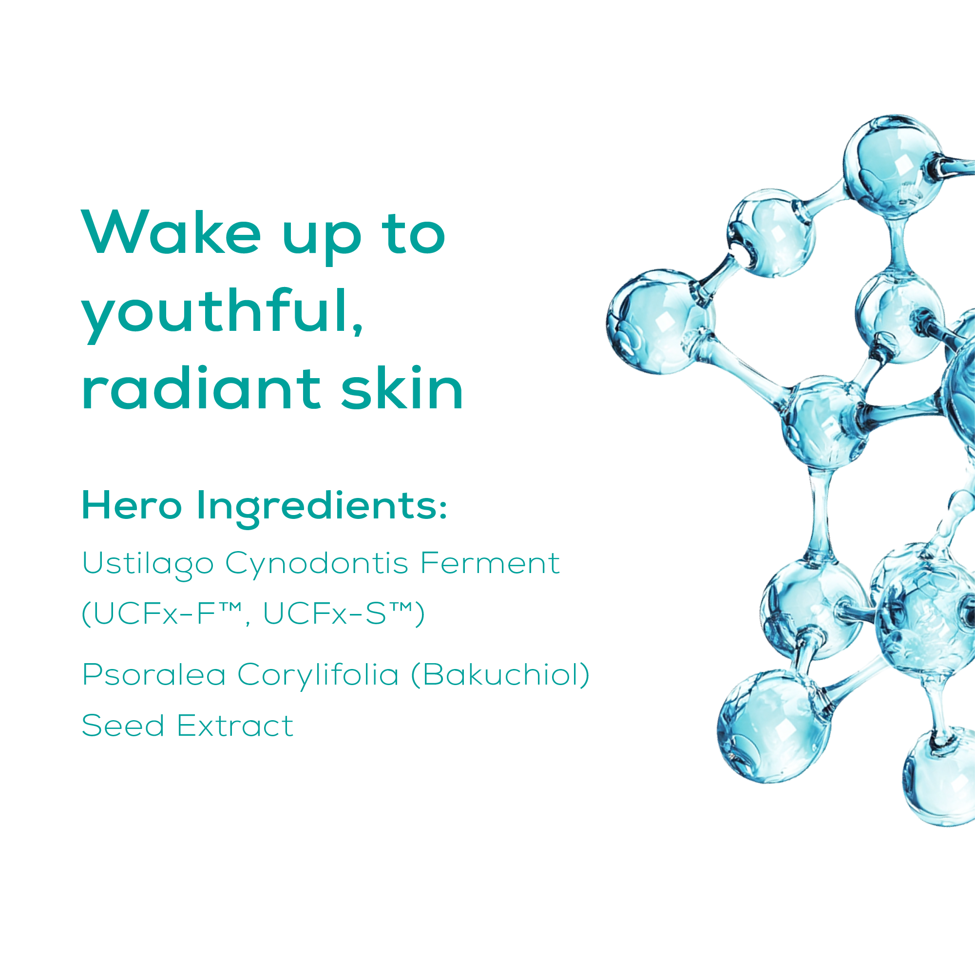 night cream hero ingredients