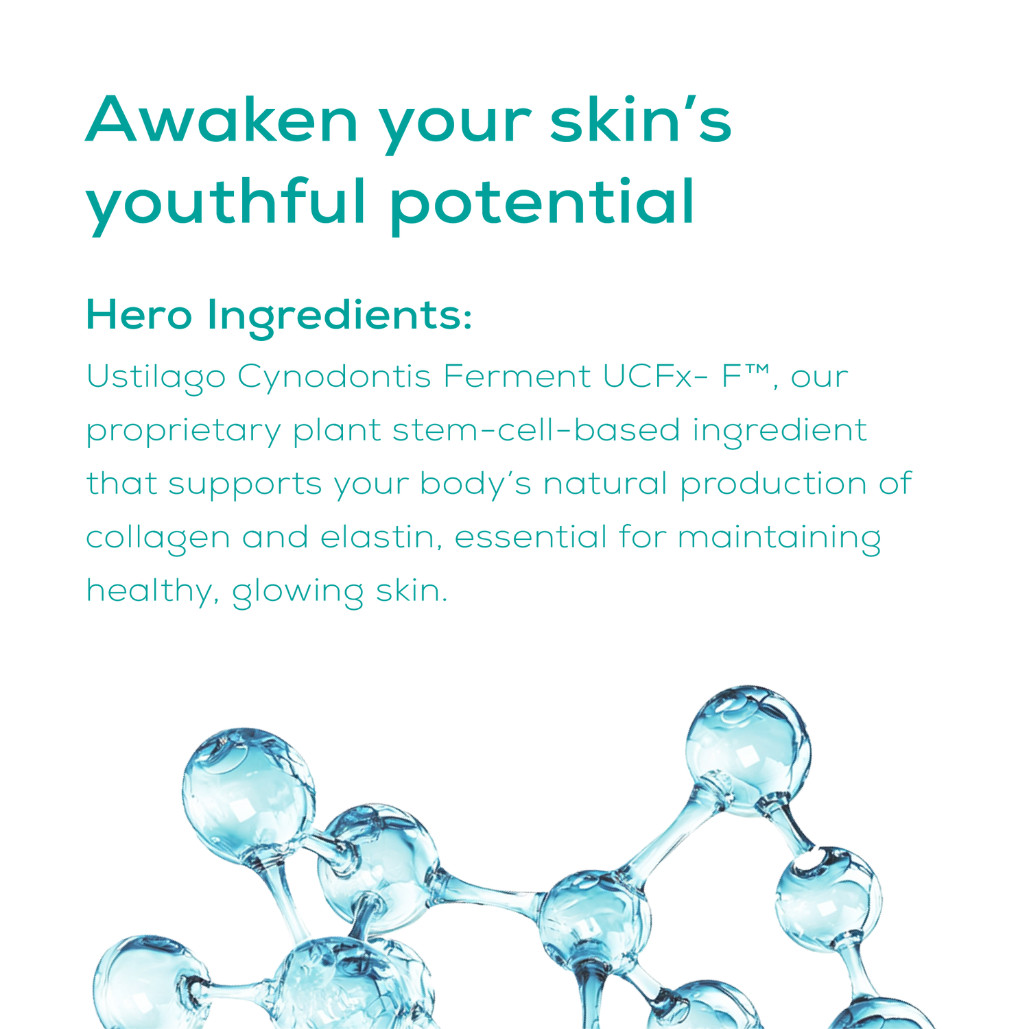 serum hero ingredients