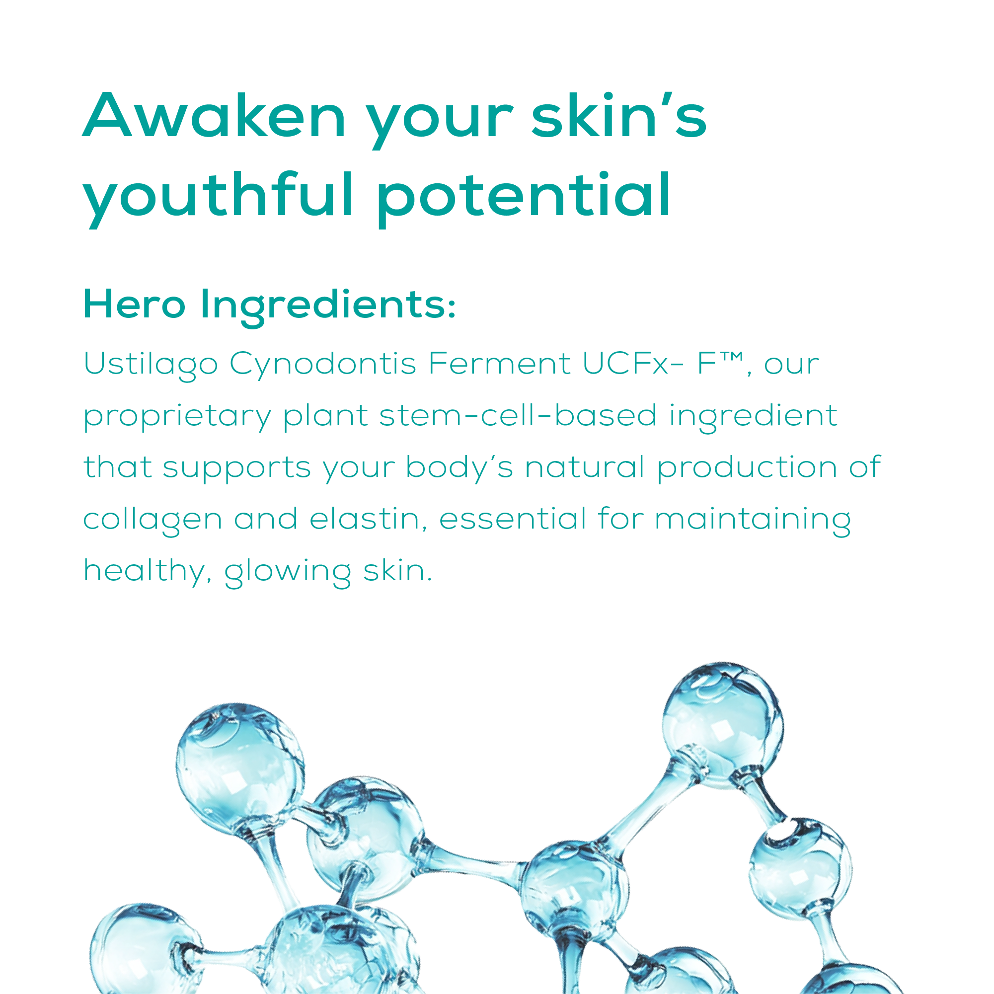 serum hero ingredients