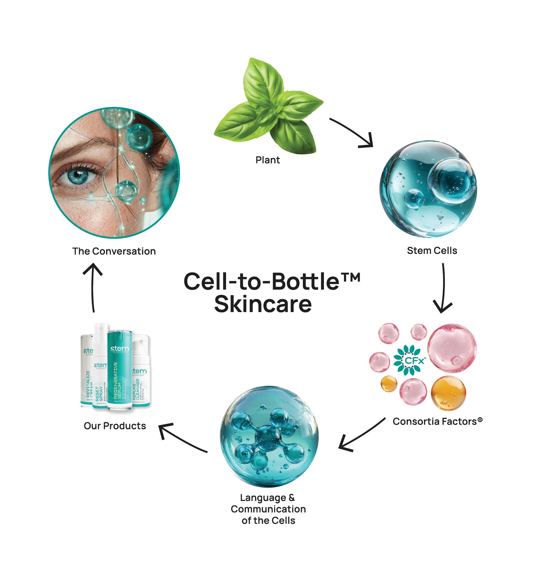 The Science – The Stem Company